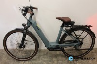 E-Bike (Pedelec) Kettler Quadriga P5 Belt Wave