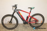 Pedelec Ecobike RX500