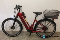 E-Bike (Pedelec) Diamant Allant+7