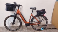 E-Bike (Pedelec) GIANT Daily Tour E2+D LDS