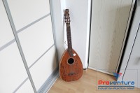 Mandoline
