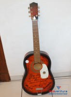 Akustik-Gitarre