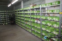 Warenbestand Pokale + Medaillen