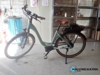 E-Bike RIESE+MÜLLER Swing Vario