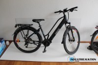 E-Citybike ESKUTE Wayfarer PRO