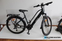 E-Citybike ESKUTE Wayfarer PRO