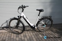 E-Bike (Pedelec) PEGASUS Premio Evo 10 Lite, aus 11/22