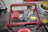 Stromerzeuger ENDRESS ESE 204BS/S