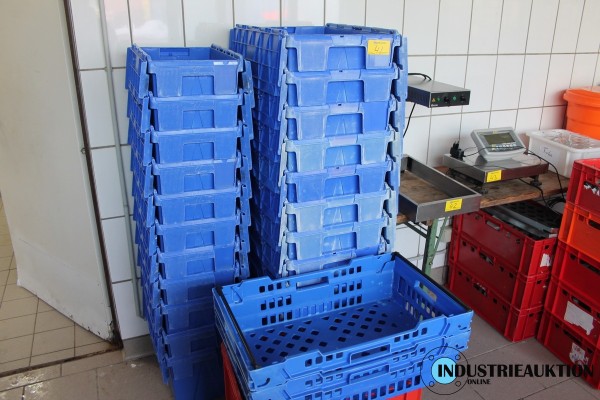 Transportbehälter mit Klappdeckel