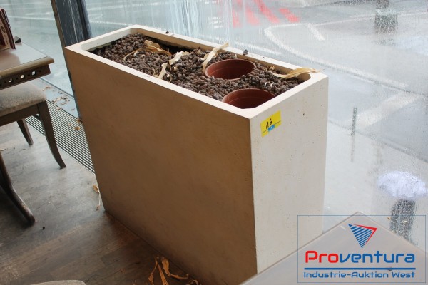 Bild Blumenkasten für Hydrokultur