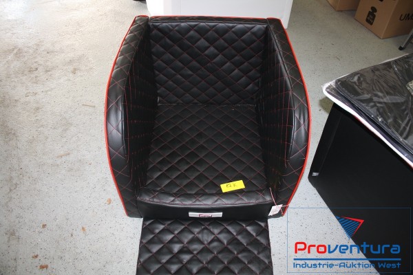 Dog Backseat Dogstyler Earl Kaltschaum