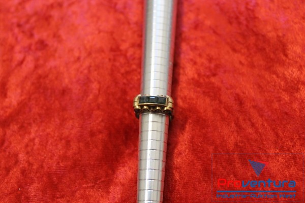 Bild Ring