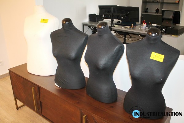 Bild Büsten ohne Ständer