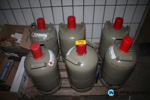 Bild Propangasflaschen; 6 St.