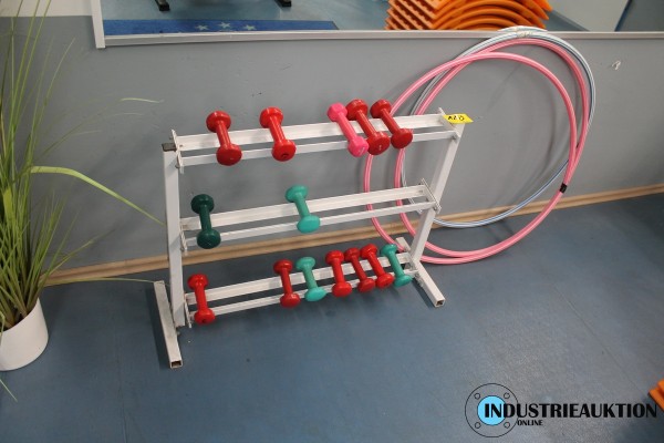 Bild Gymnastikhanteln ca. 14 St.