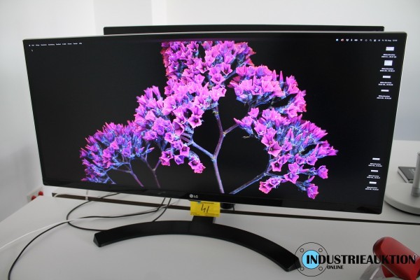 Bild Monitor LG 34UM88 34